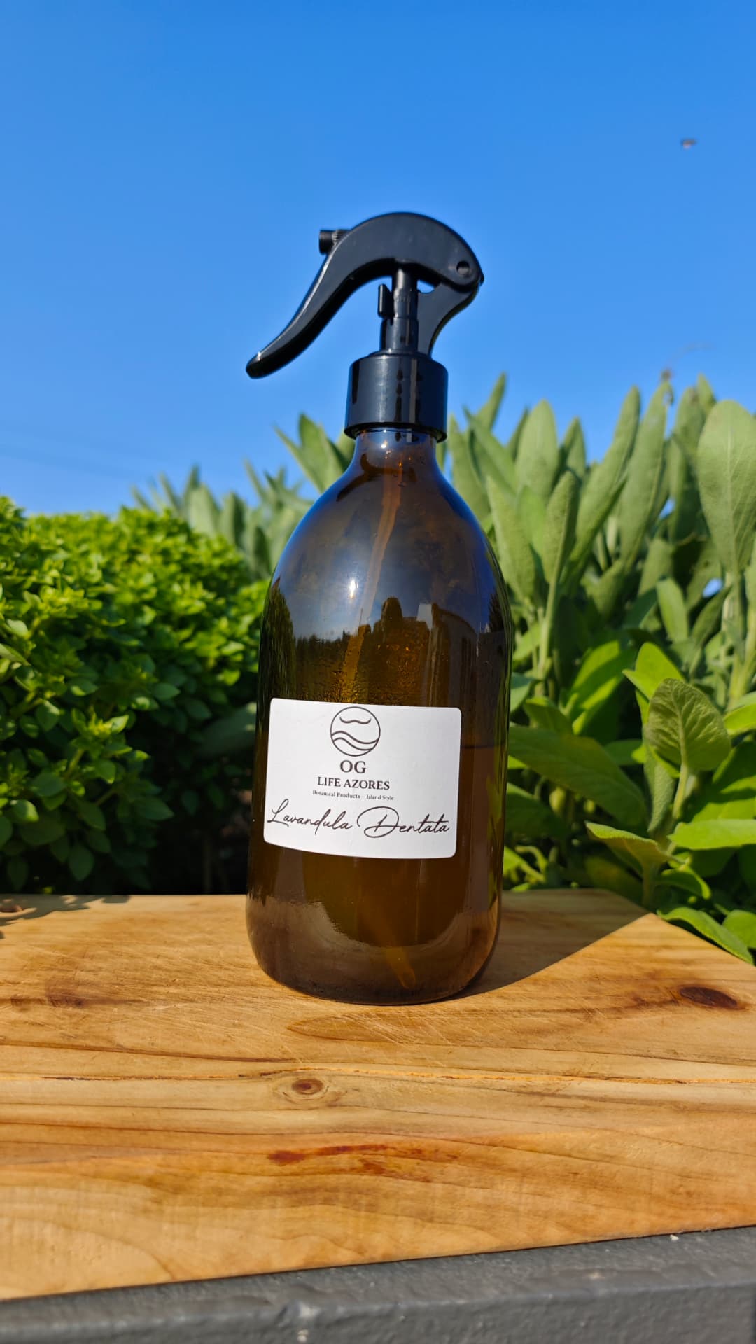 Lavender Hydrosol detail