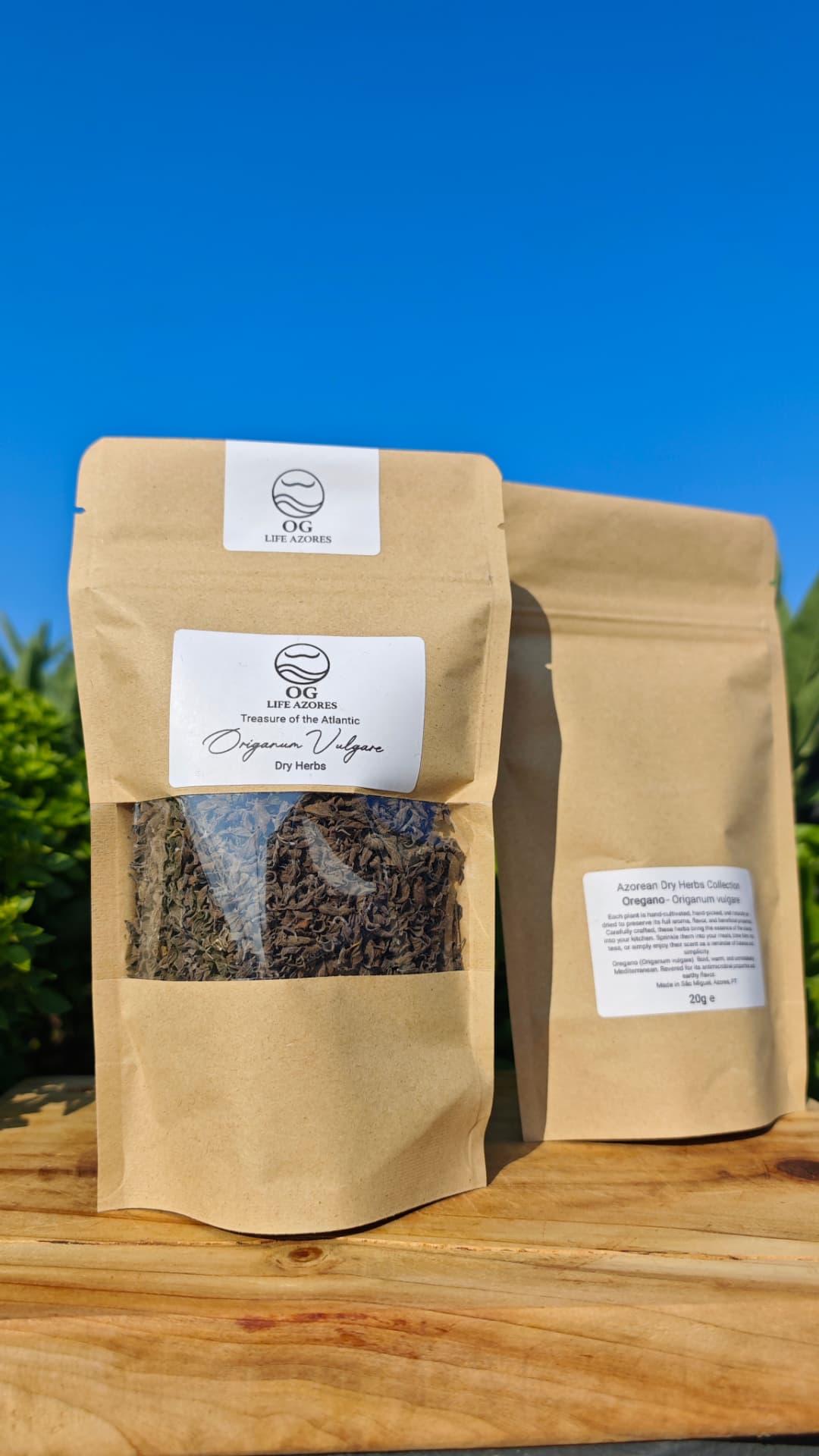 Oregano by OG Life Azores