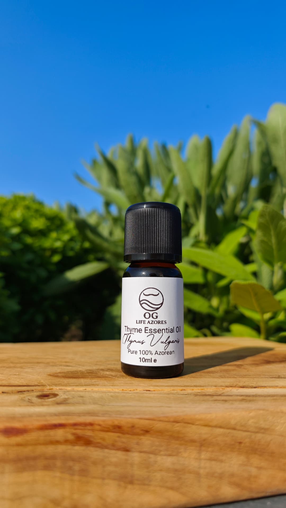 Thymus Vulgaris essential oil bottle against a blue Azorean sky