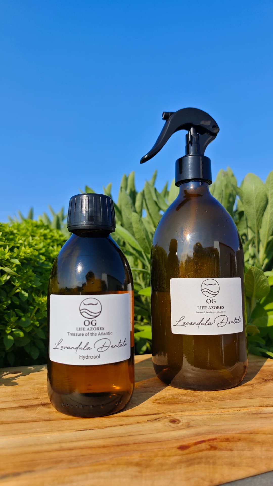Lavender Hydrosol detail