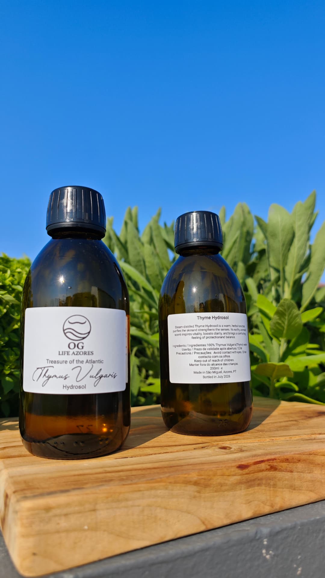Thyme Hydrosol detail