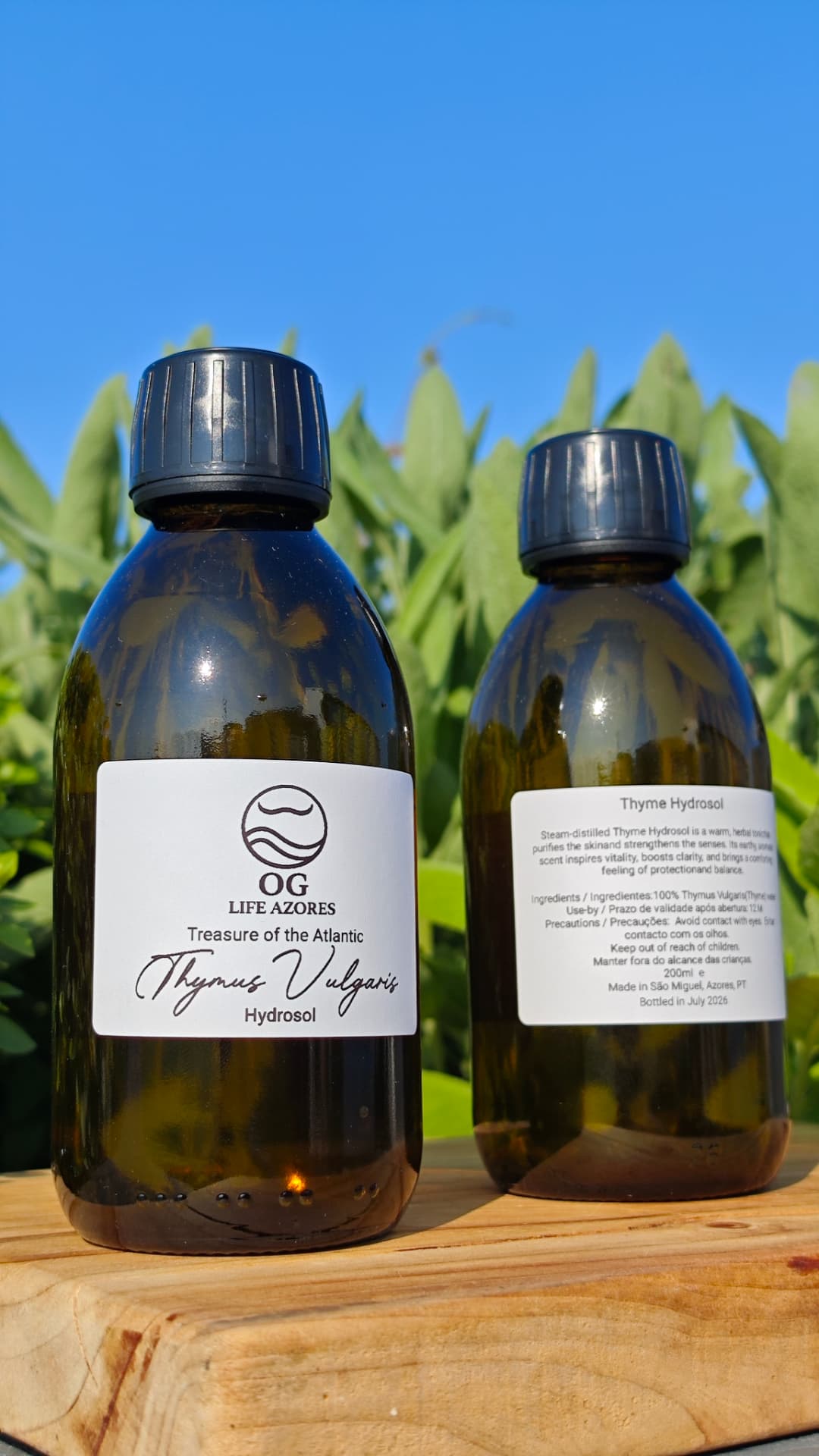 Thyme Hydrosol by OG Life Azores