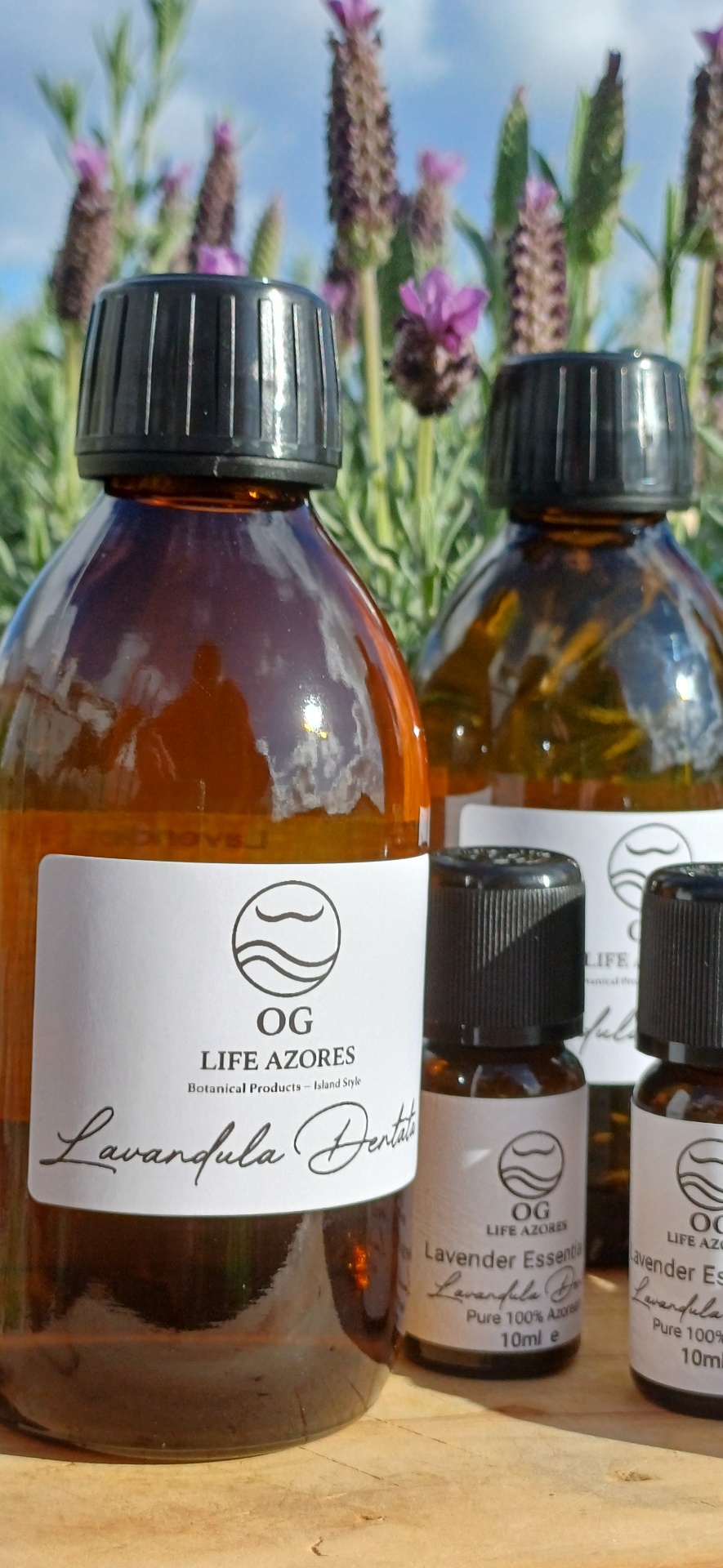 Lavender hydrosol bottles from OG Life Azores