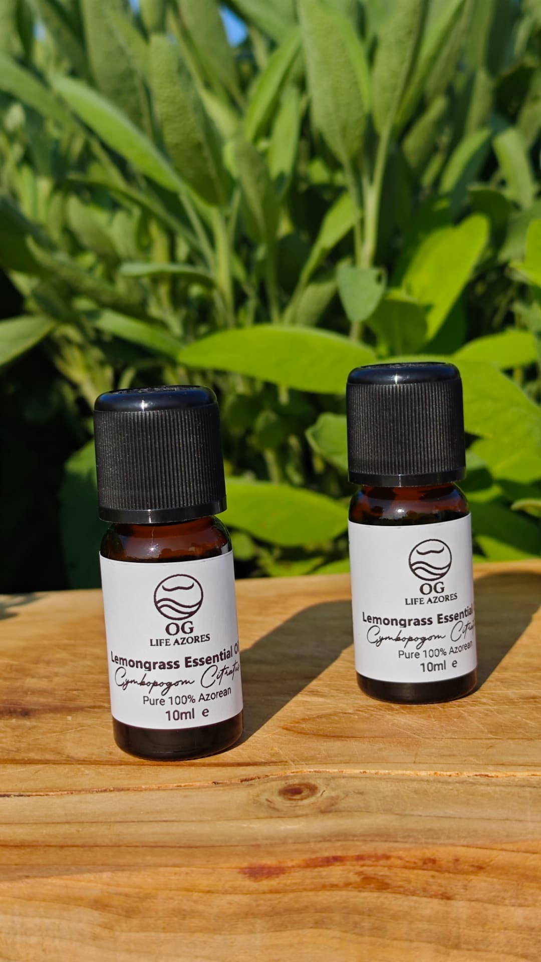 Lemongrass Essential Oil by OG Life Azores