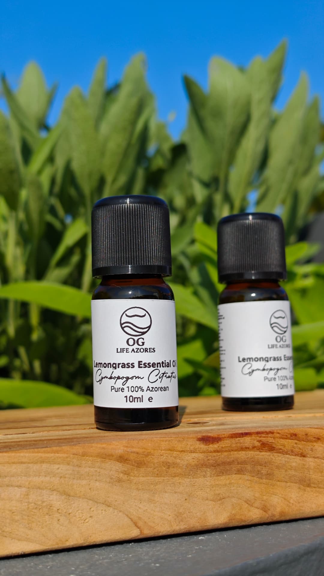 Lemongrass essential oil bottles in front of sage leaves