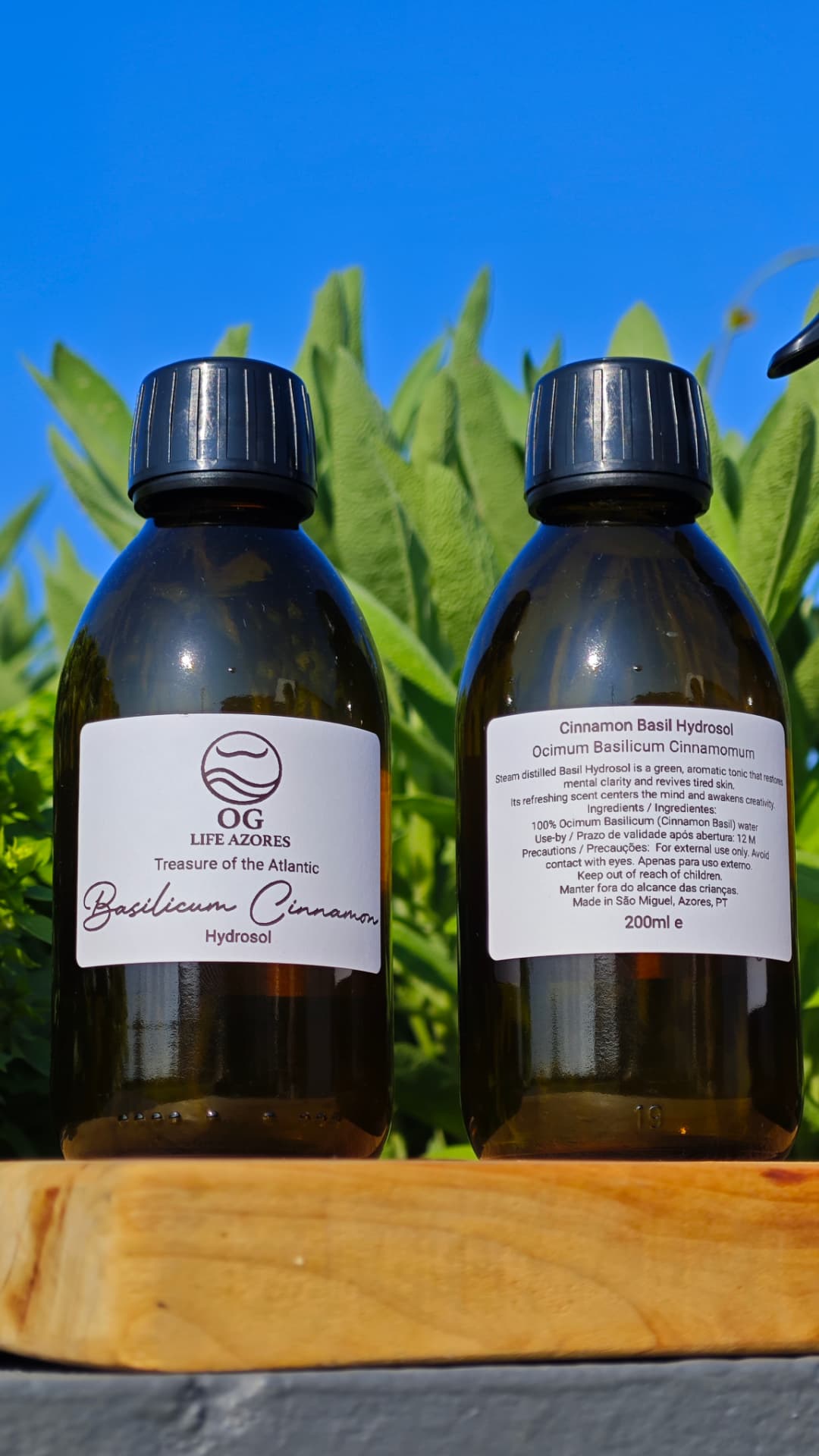 Cinnamon Basil Hydrosol detail