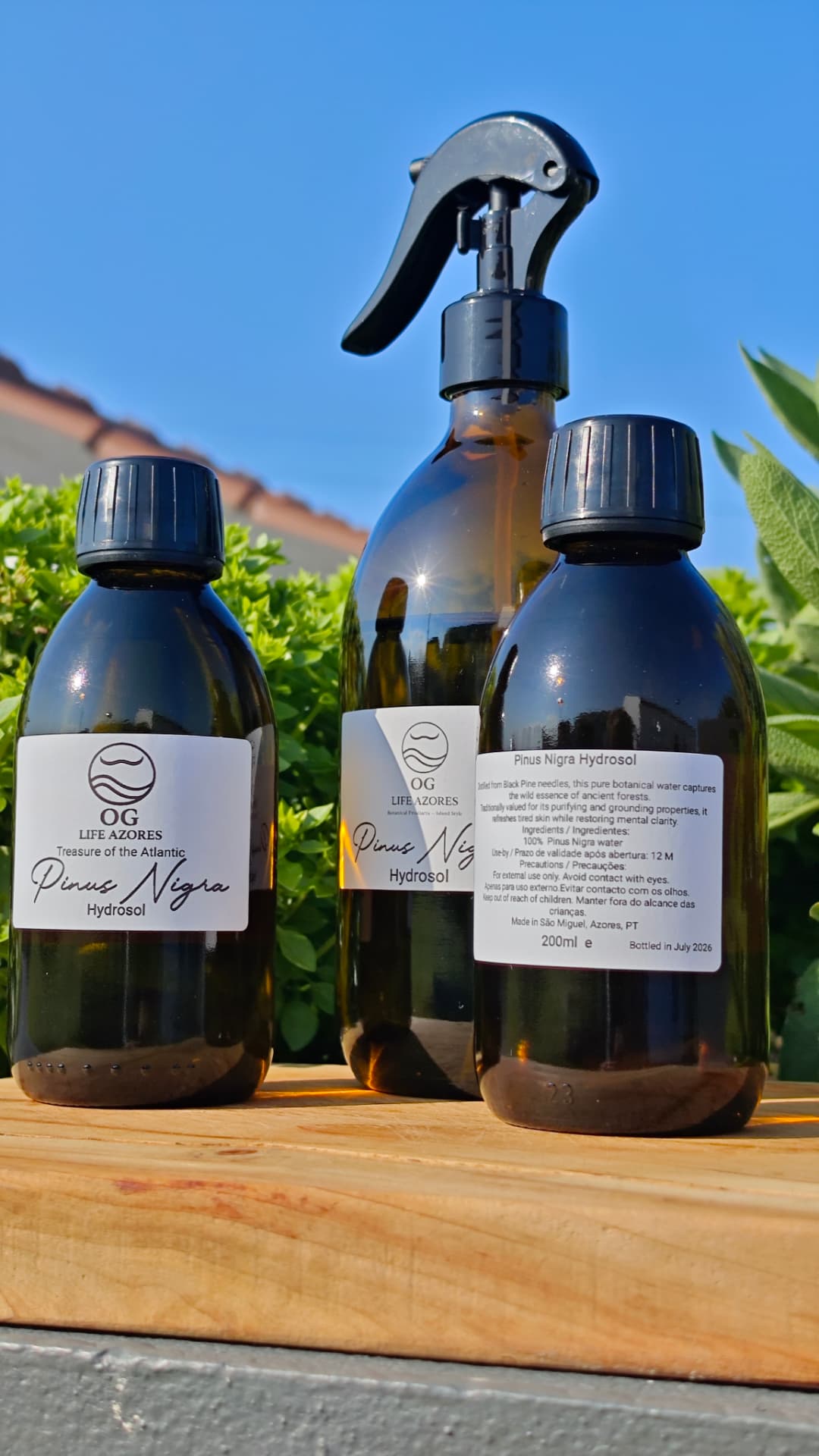 Pinus Nigra Hydrosol by OG Life Azores