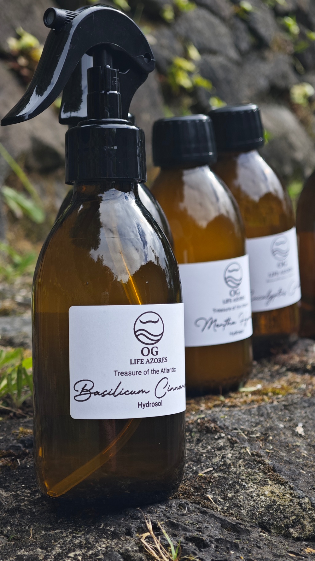 Basilicum Cinnamon hydrosol bottles with labels