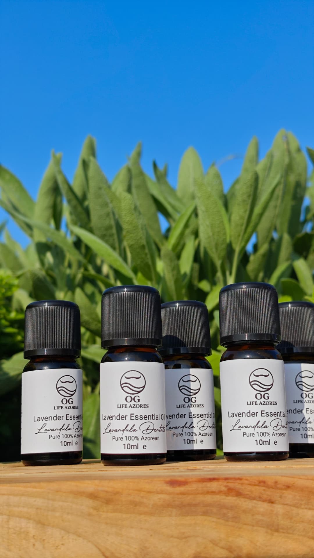 Lavender Essential Oil detail